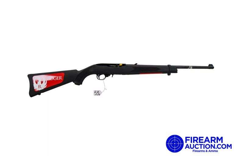 Ruger Model 10/22 Semi-Auto Rifle - 22 LR - SN: 0020-62739