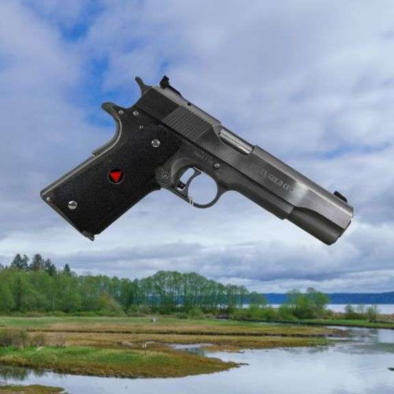 Spring No Reserve Online Firearm & Ammo Auction