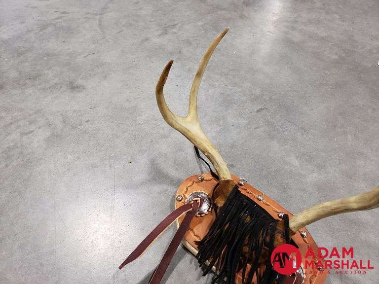 Deer Rack Display