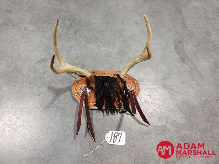 Deer Rack Display