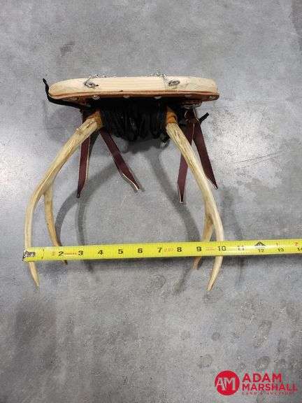 Deer Rack Display