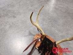 Deer Rack Display