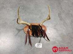 Deer Rack Display