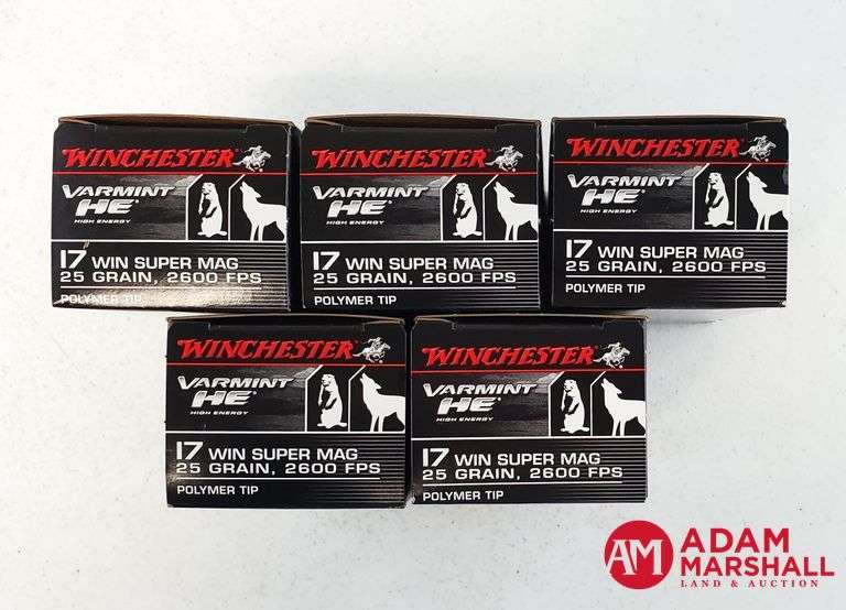Winchester Elite Varmint HE 17 Win Super Mag - 25 Gr Polymer Tip (5 X 50)