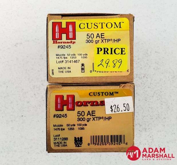 Hornady Custom 50 AE - 300 Gr XTP/HP (2 X 20)