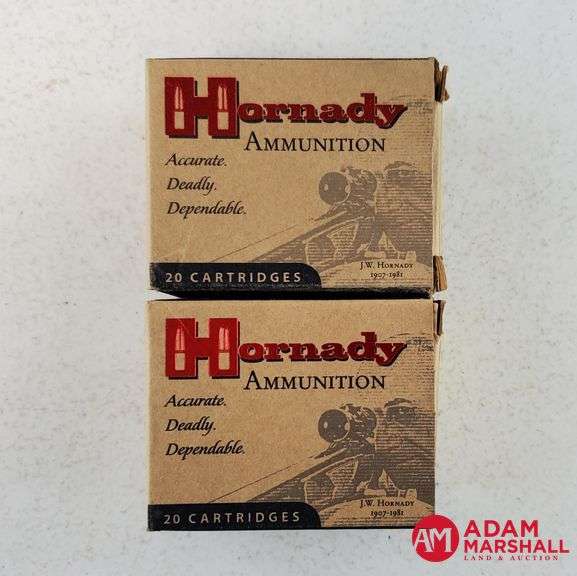 Hornady Custom 50 AE - 300 Gr XTP/HP (2 X 20)