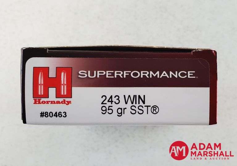 Hornady Superformance 243 Win - 95 Gr SST (1 X 20)