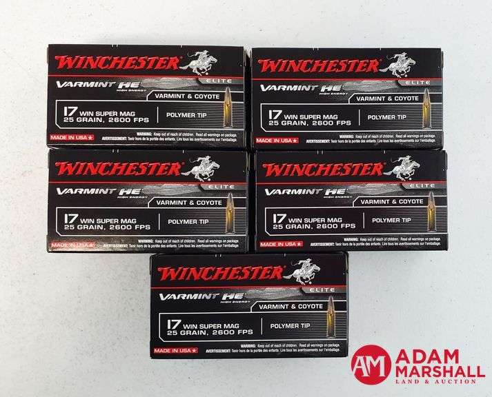 Winchester Elite Varmint HE 17 Win Super Mag - 25 Gr Polymer Tip (5 X 50)
