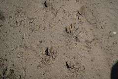 Niobrara River Hunting Paradise