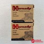 Hornady Custom 50 AE - 300 Gr XTP/HP (2 X 20)