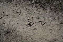 Niobrara River Hunting Paradise
