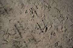Niobrara River Hunting Paradise