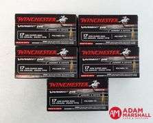Winchester Elite Varmint HE 17 Win Super Mag - 25 Gr Polymer Tip (5 X 50)