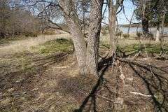 Niobrara River Hunting Paradise