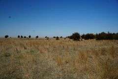 Niobrara River Hunting Paradise