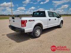 2016  Ford  F-150 XL  Pickup - Gasoline