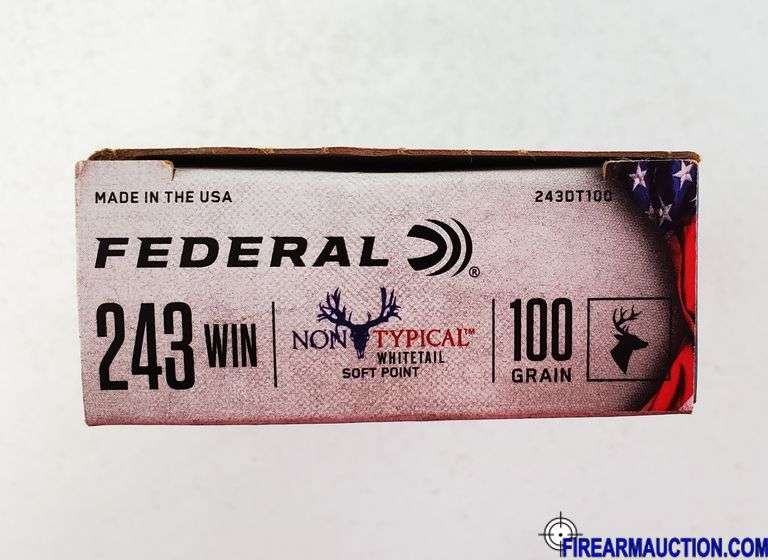 Federal Non-Typical Whitetail 243 Win - 100 Gr Soft Point (1 X 20)