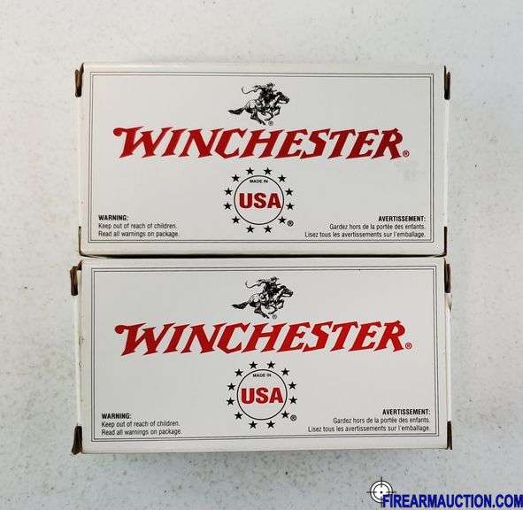 Winchester Target/Range WinClean 380 Auto - 95 Gr BEB (2 X 50)