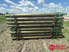(80) Southern Yellow Pine Copper Treated Posts (sold 80 x bid)