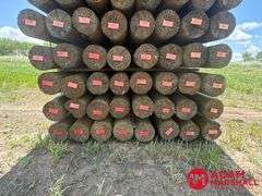 (72) Southern Yellow Pine Copper Treated Posts (sold 72 x bid)