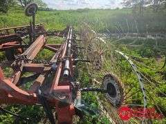 Hesston  3982  12 Wheel Rake