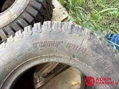 (1) Carlisle, Turf Master Tire - 255/50-10
