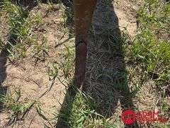 John Deere  1600  Chisel Plow - 16FT