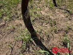 John Deere  1600  Chisel Plow - 16FT
