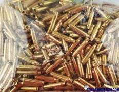 Brass Only - 223 Rem (250)