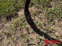 John Deere  1600  Chisel Plow - 16FT