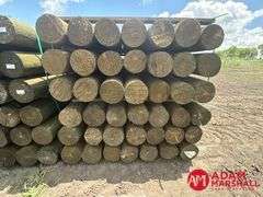 (84) Southern Yellow Pine Copper Treated Posts (sold 84 x bid)