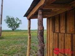 Wood Shed - 7FT x 12FT