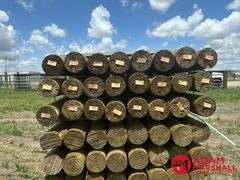 (72) Southern Yellow Pine Copper Treated Posts (sold 72 x bid)
