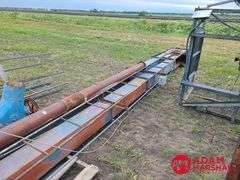 NECO  Grain Leg