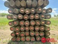 (72) Southern Yellow Pine Copper Treated Posts (sold 72 x bid)