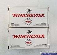 Winchester Target/Range WinClean 380 Auto - 95 Gr BEB (2 X 50)