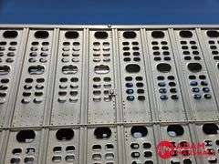 2008  Wilson  Cattle Pot  - 53FT