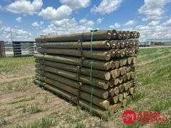 (72) Southern Yellow Pine Copper Treated Posts (sold 72 x bid)