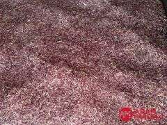 (60) Cedar Stixs Premium Cedar Fiber Bedding (sold 60 x bid)