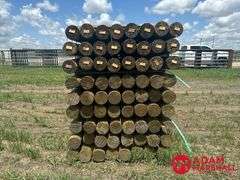 (72) Southern Yellow Pine Copper Treated Posts (sold 72 x bid)