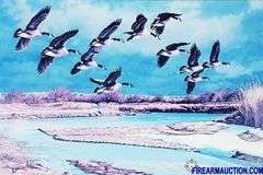 Wildlife Framed Print - "Storm Front On The Platte"