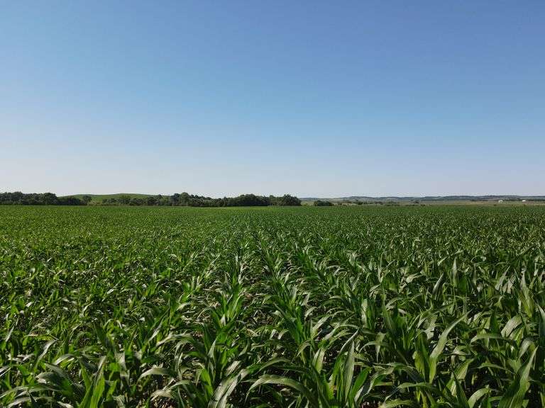 Wagon-R Farms Land Auction - Valley County 742 Acres