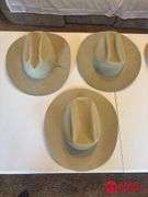 Assortment of Hats