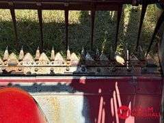 1995  Case IH  1020  Flex Head