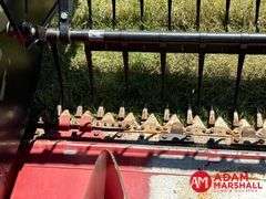 1995  Case IH  1020  Flex Head