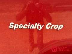 2013  New Holland  BR7090  Specialty Crop Baler