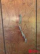 Vintage Wall Decor