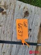 (10) 12IN Bridge Planks - 6FT