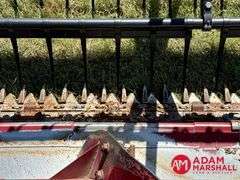 1995  Case IH  1020  Flex Head