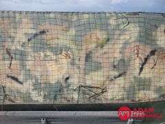 1971 Fully Enclosed Waterfowl Hunting Boat & Trailer
